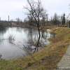 Берег реки Луги