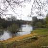 Спуск к реке Луге